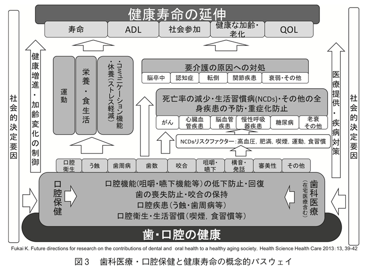 歯科医療・口腔保健と健康寿命